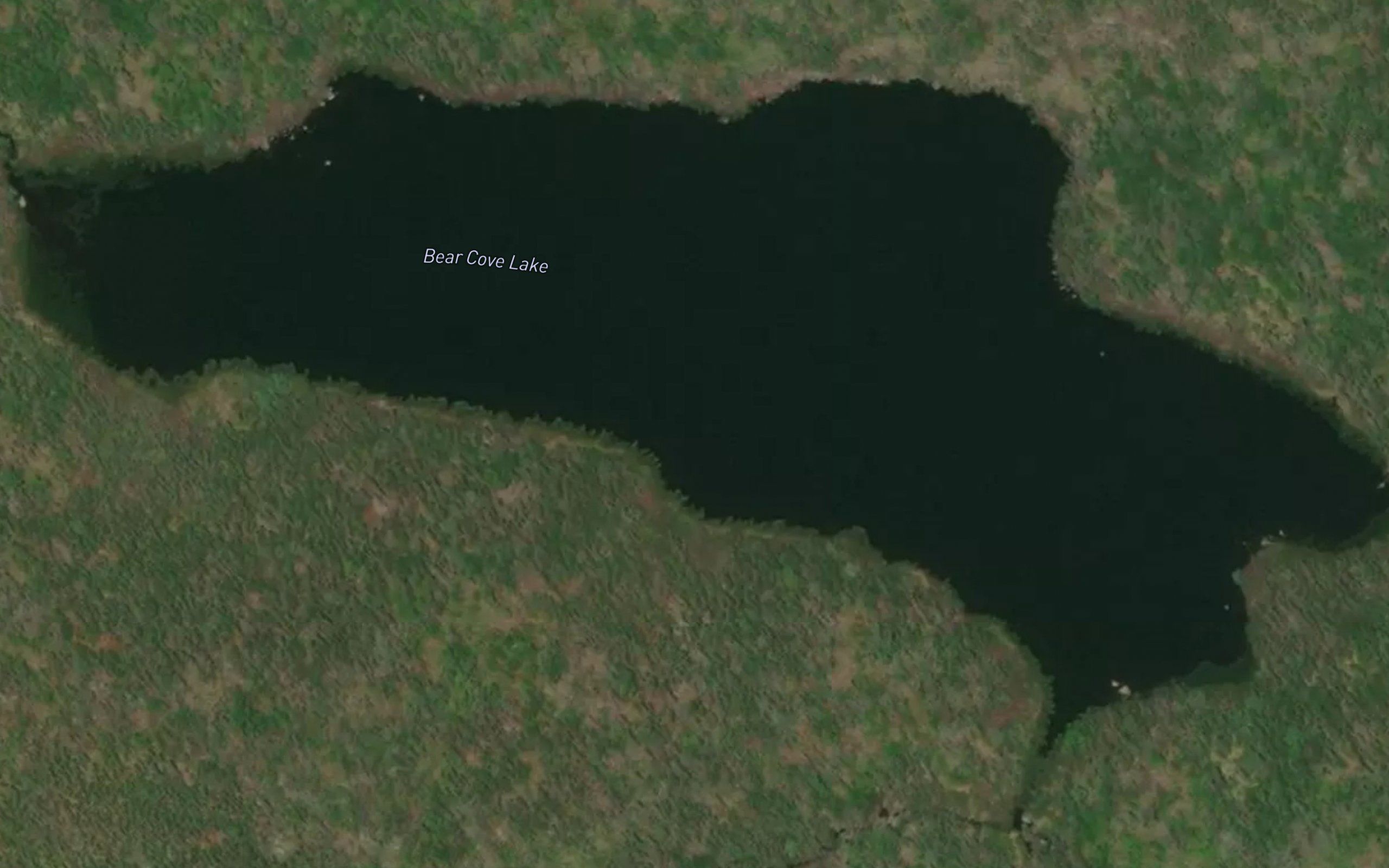 Bear Cove Lake