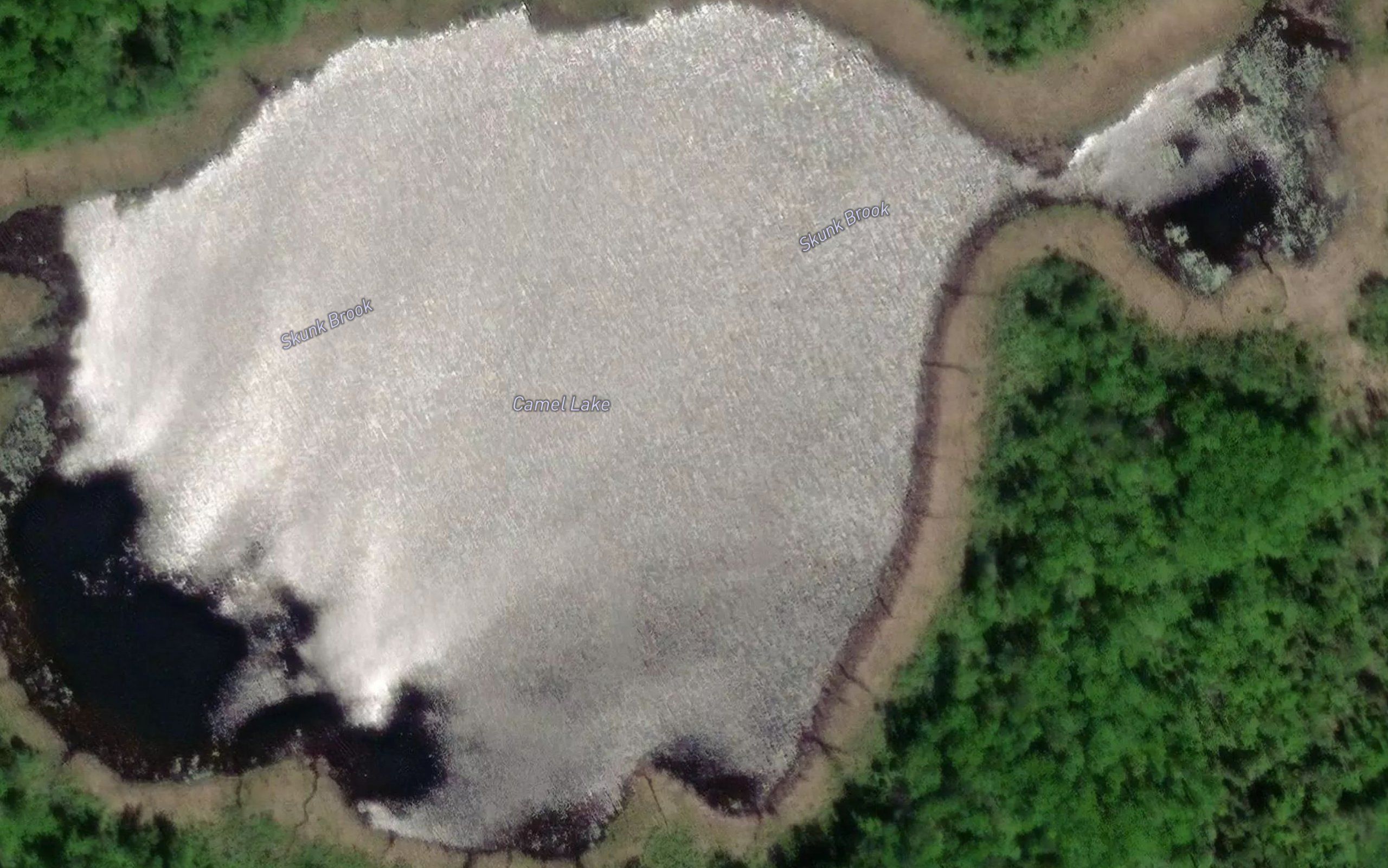 Camel Lake