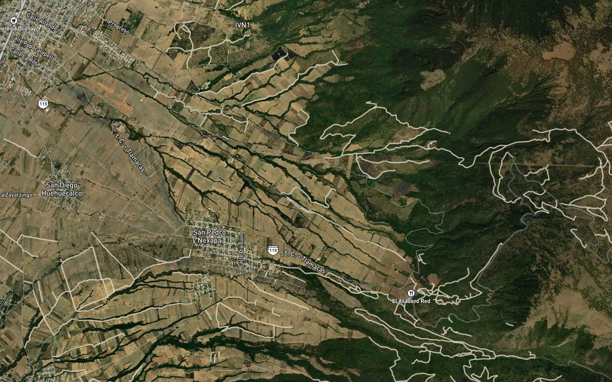 Cuamilulpa