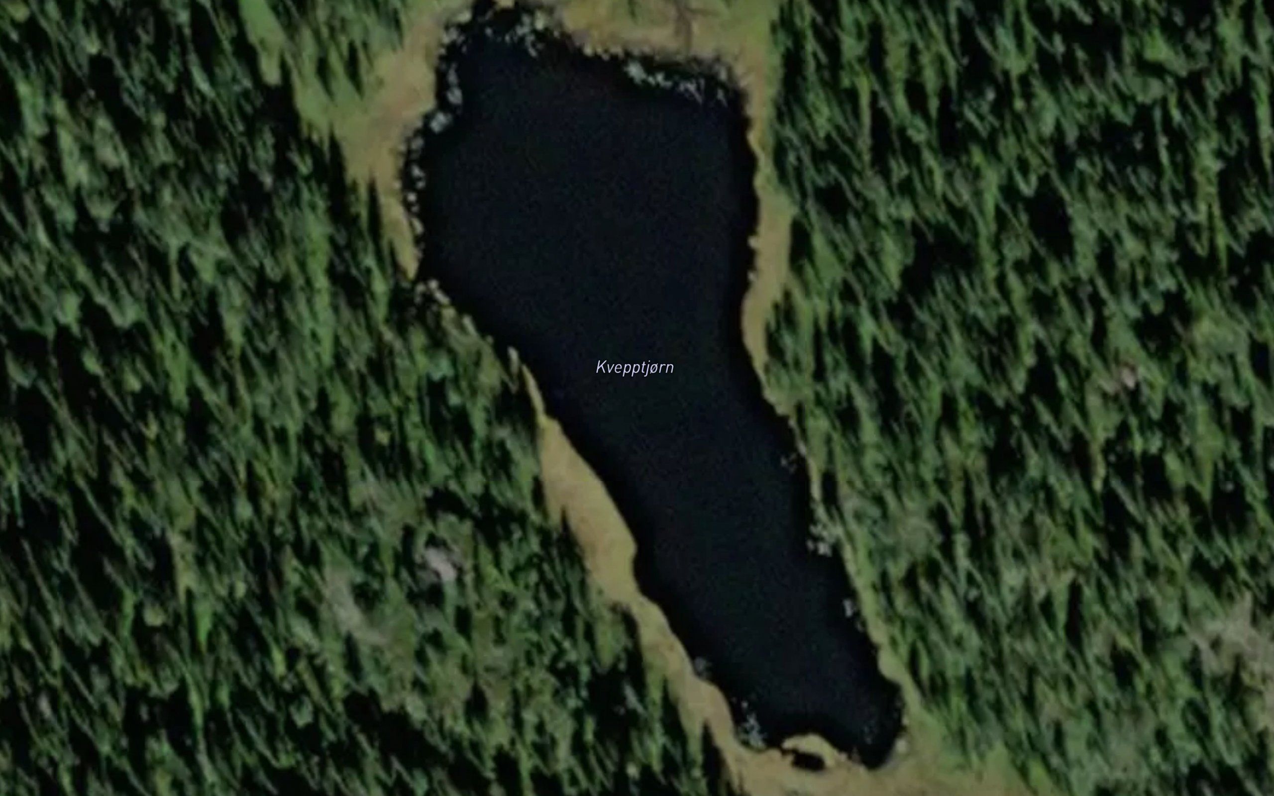 Kvepptjorn