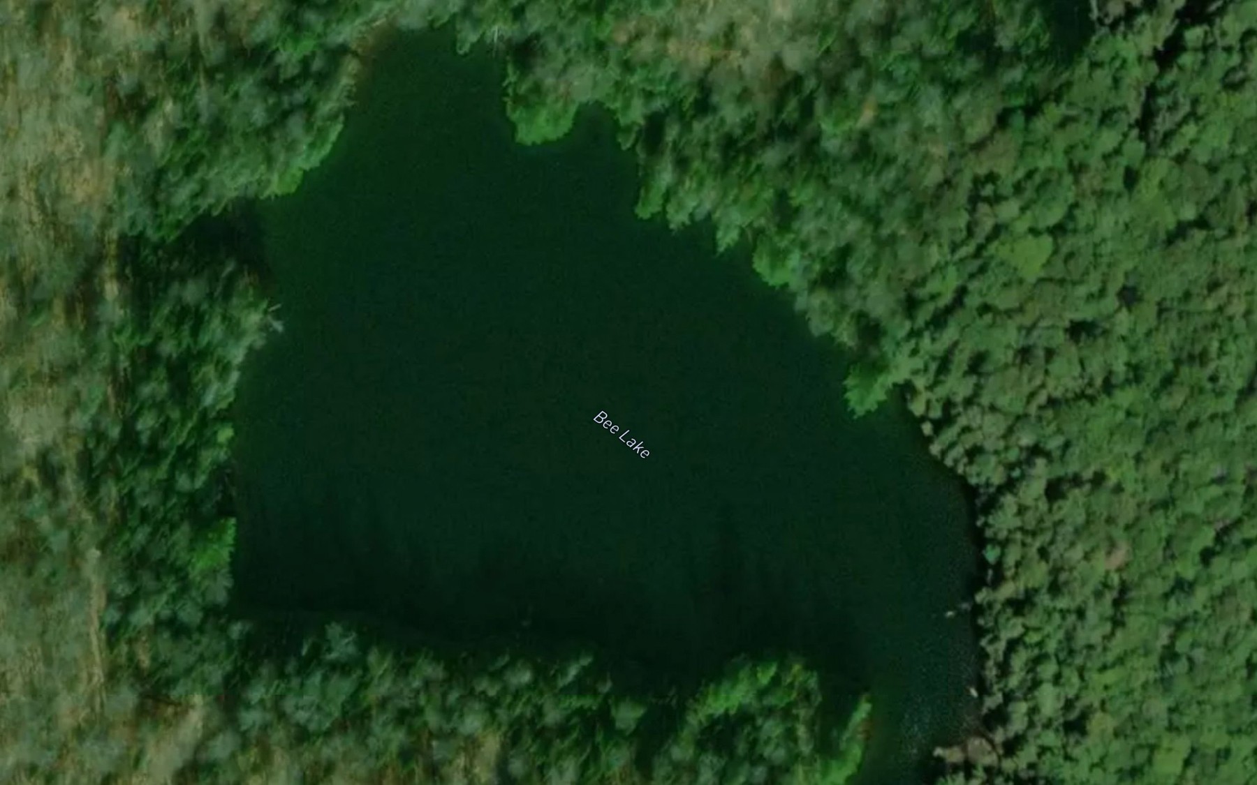 Satellite map of the Bee Lake