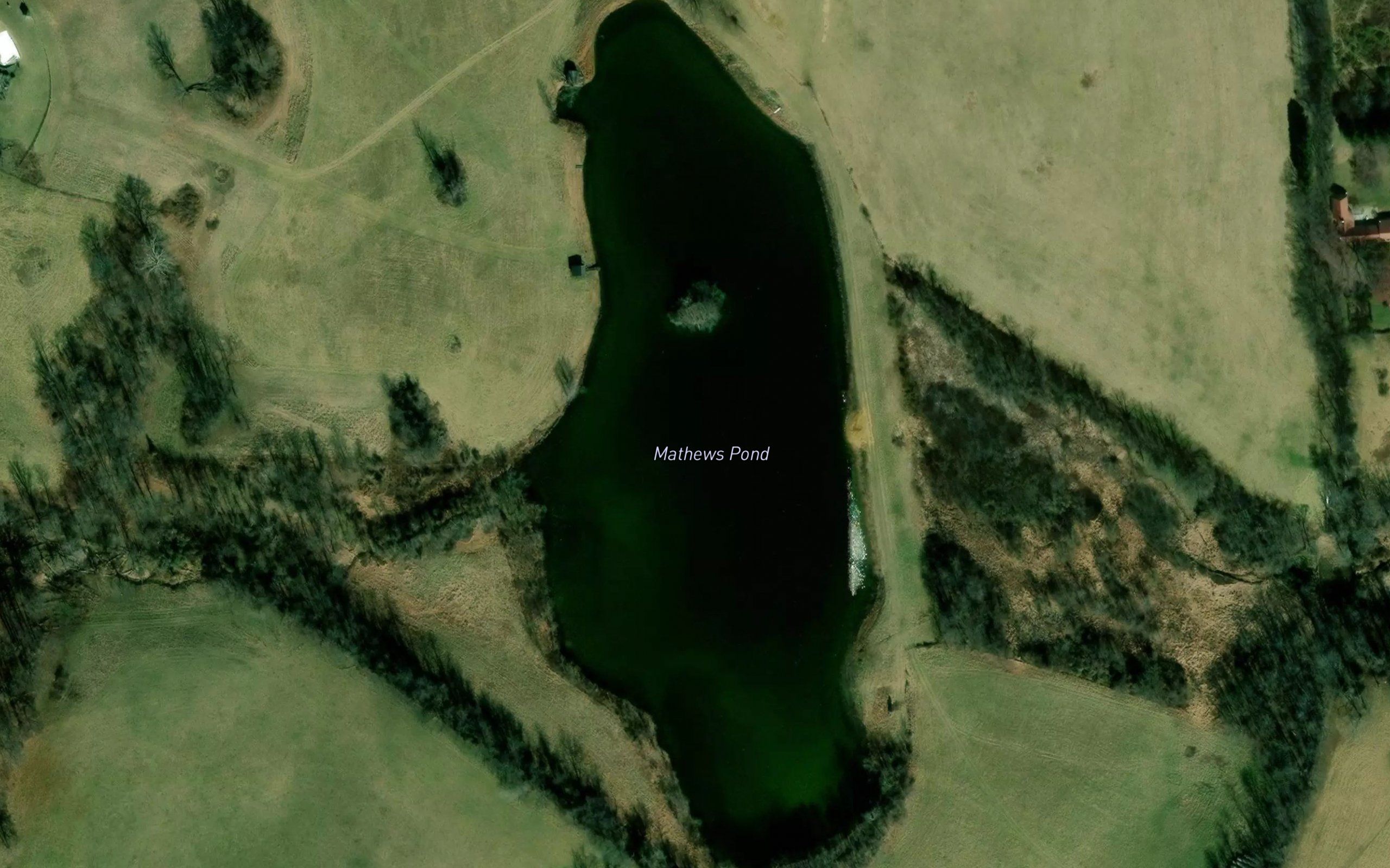 Mathews Pond