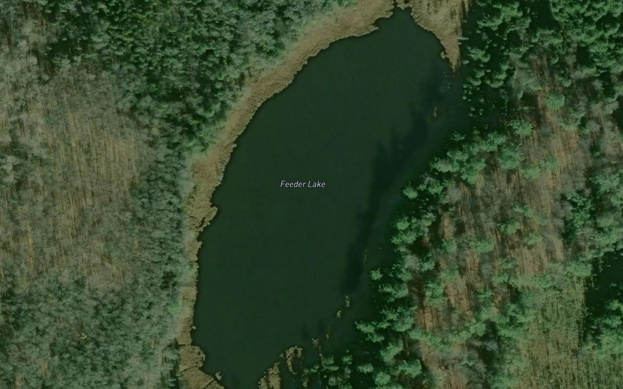 Feeder Lake