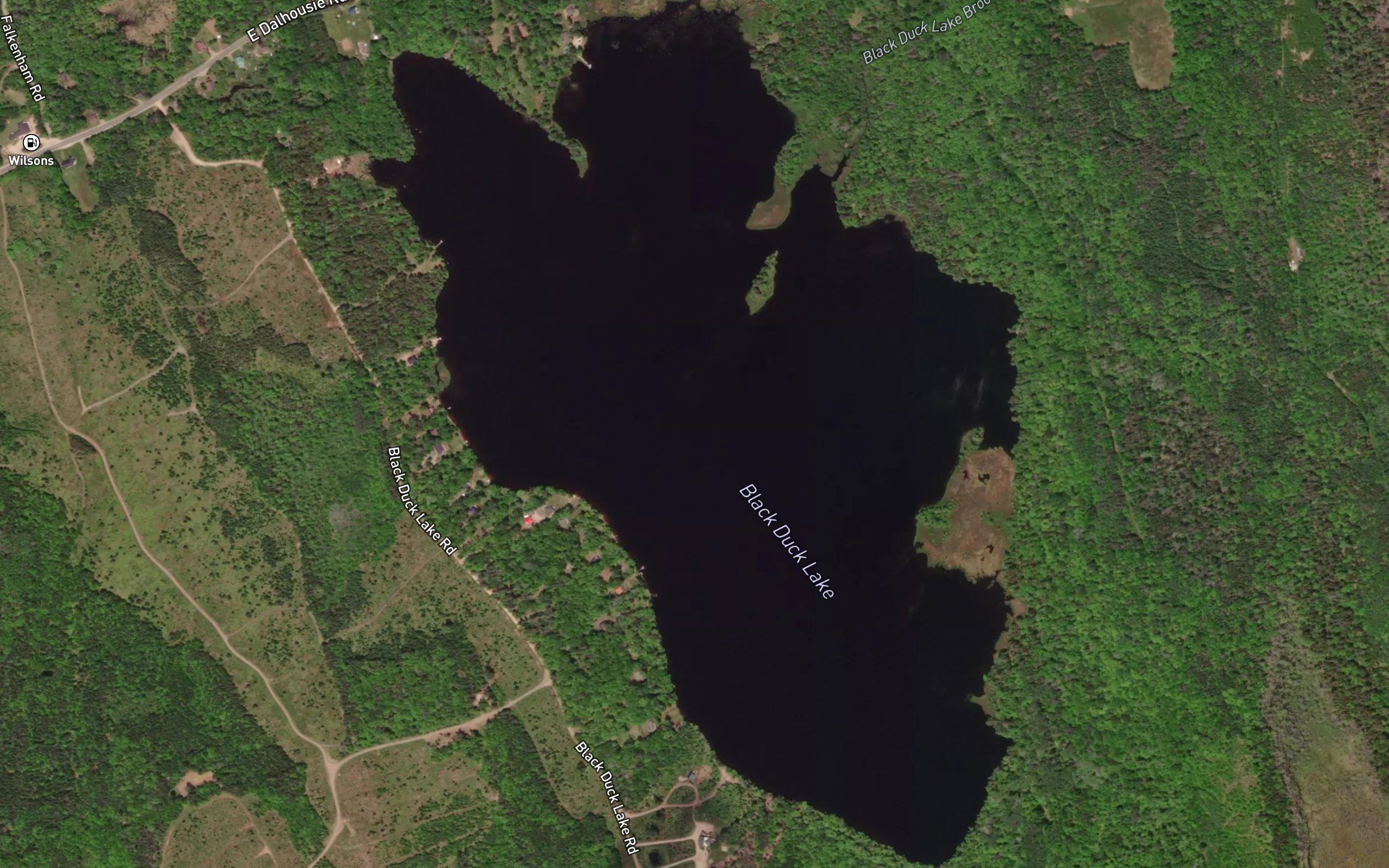 Black Duck Lake