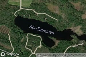 Ala-Salminen