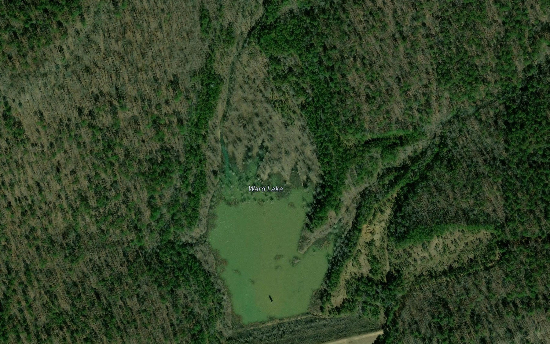 Satellite map of the Ward Lake