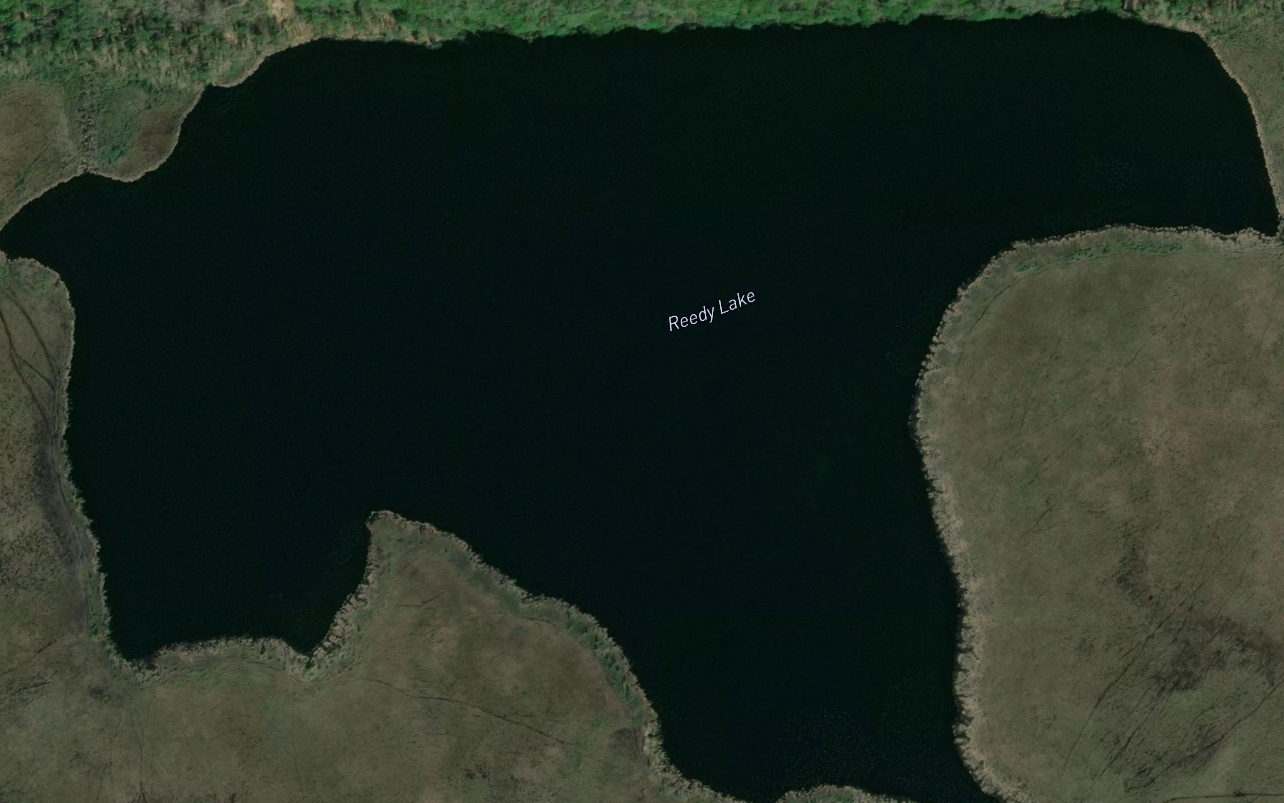 Reedy Lake