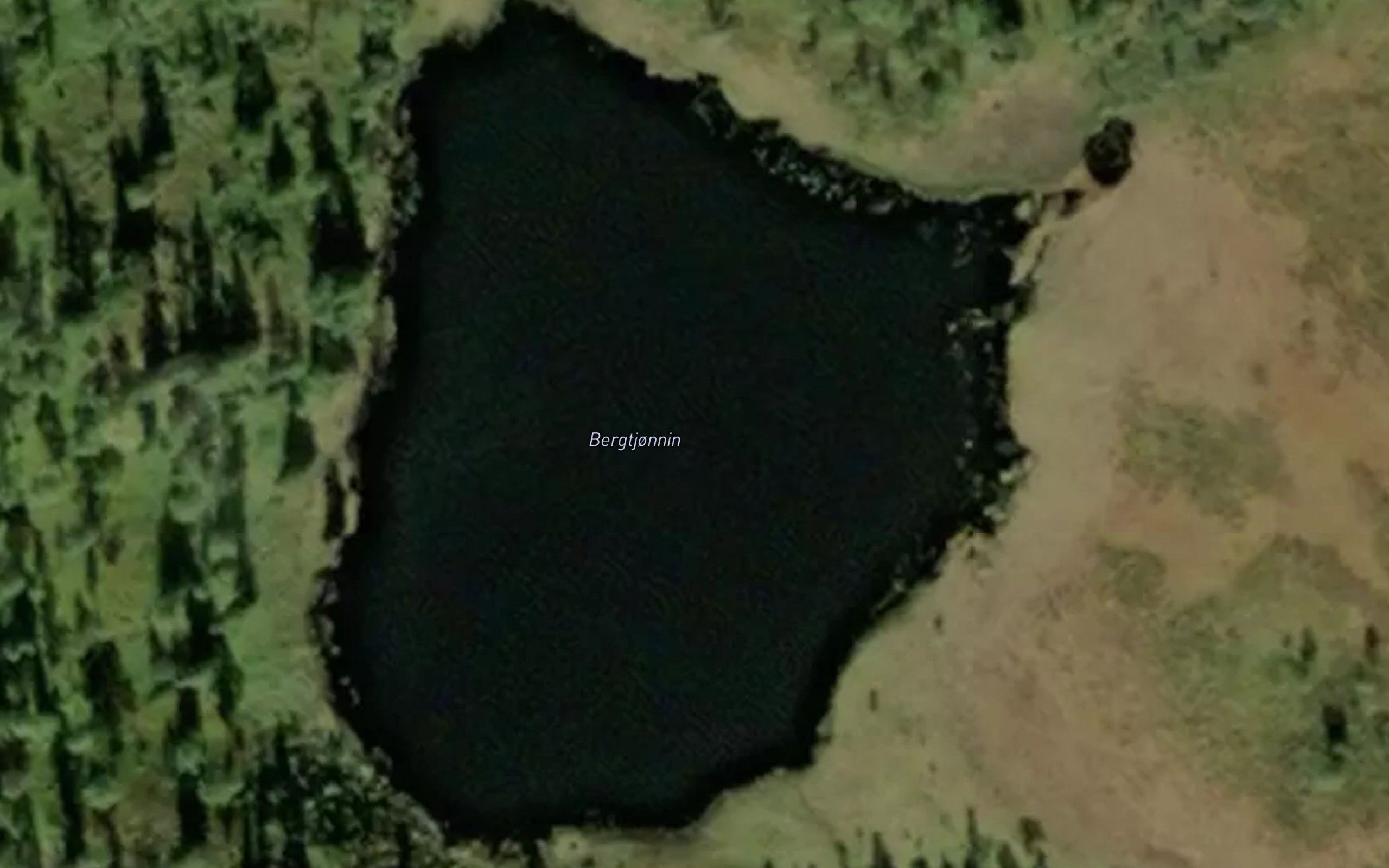 Bergtjornin