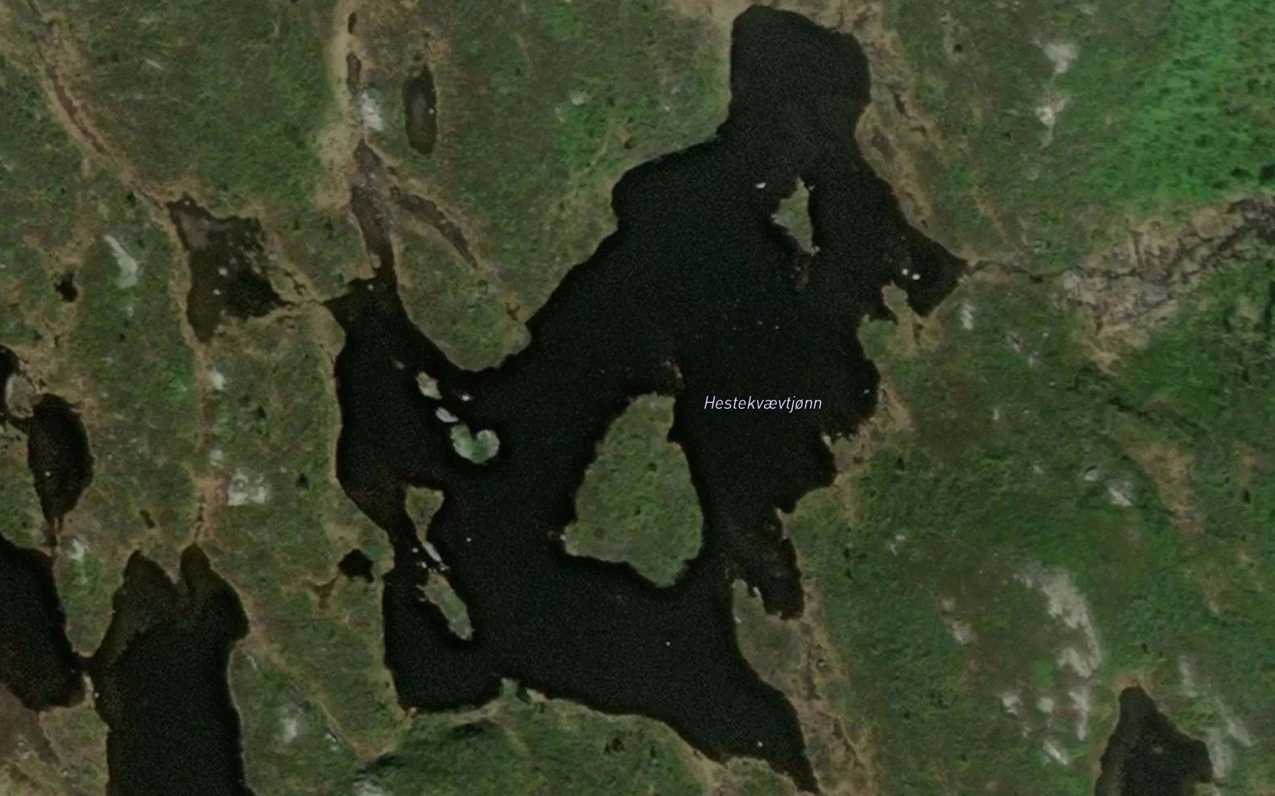 Hestekvaevtjonn