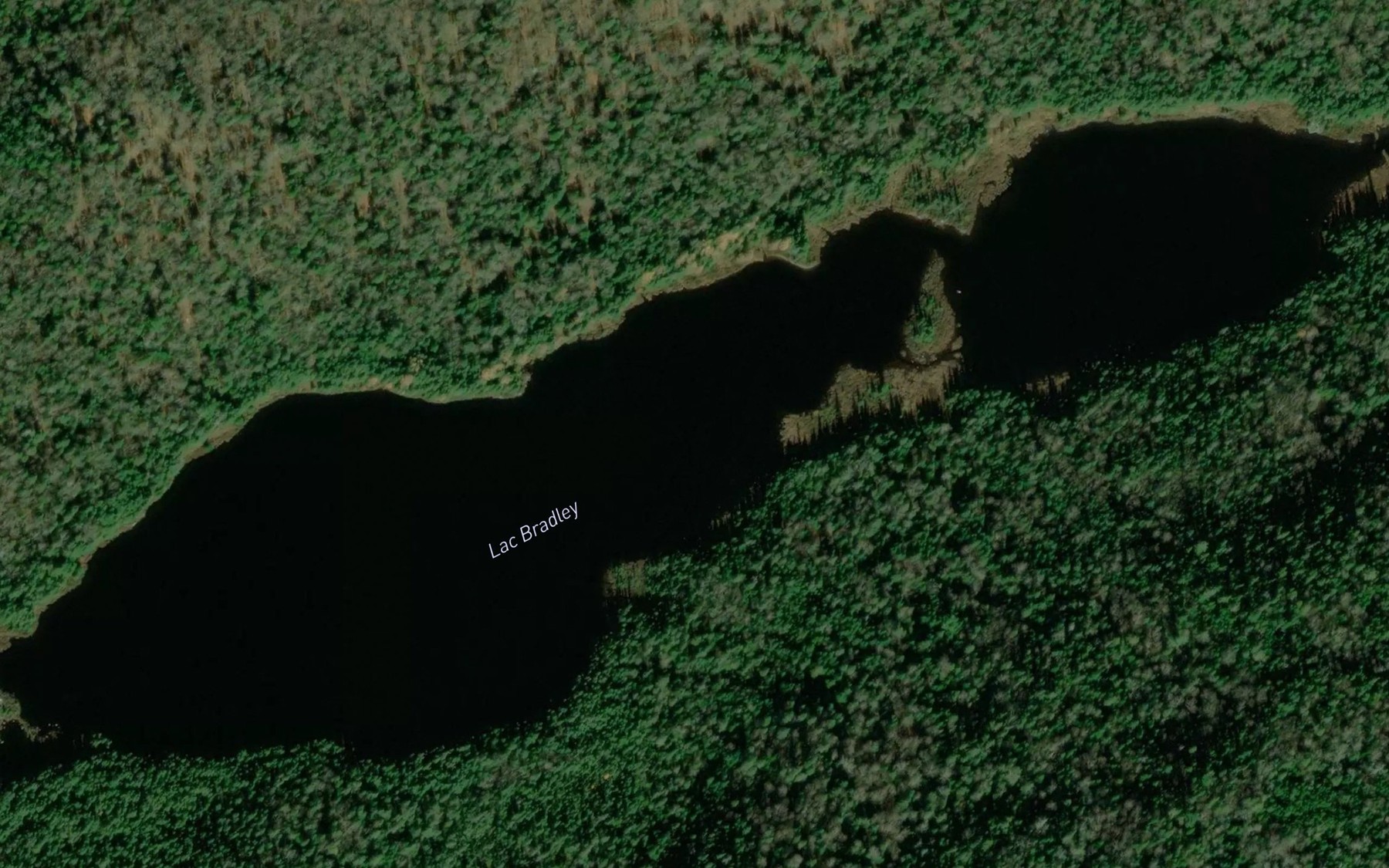 Satellite map of the Lac Bradley