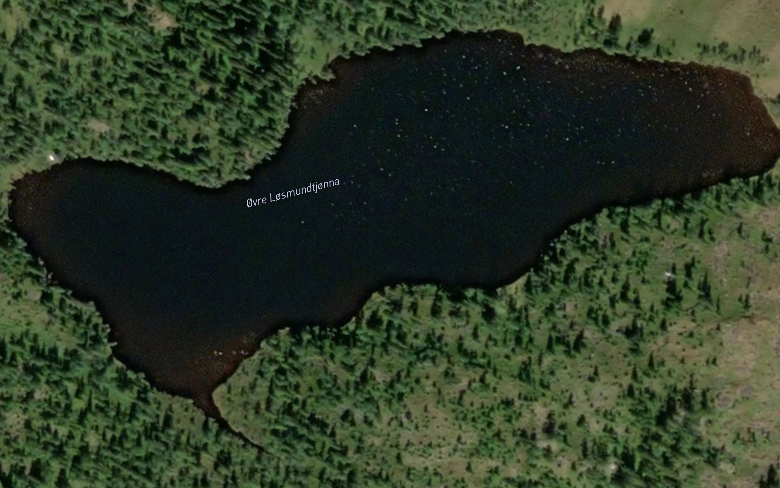 Loysmundhaugtjorna,ovre