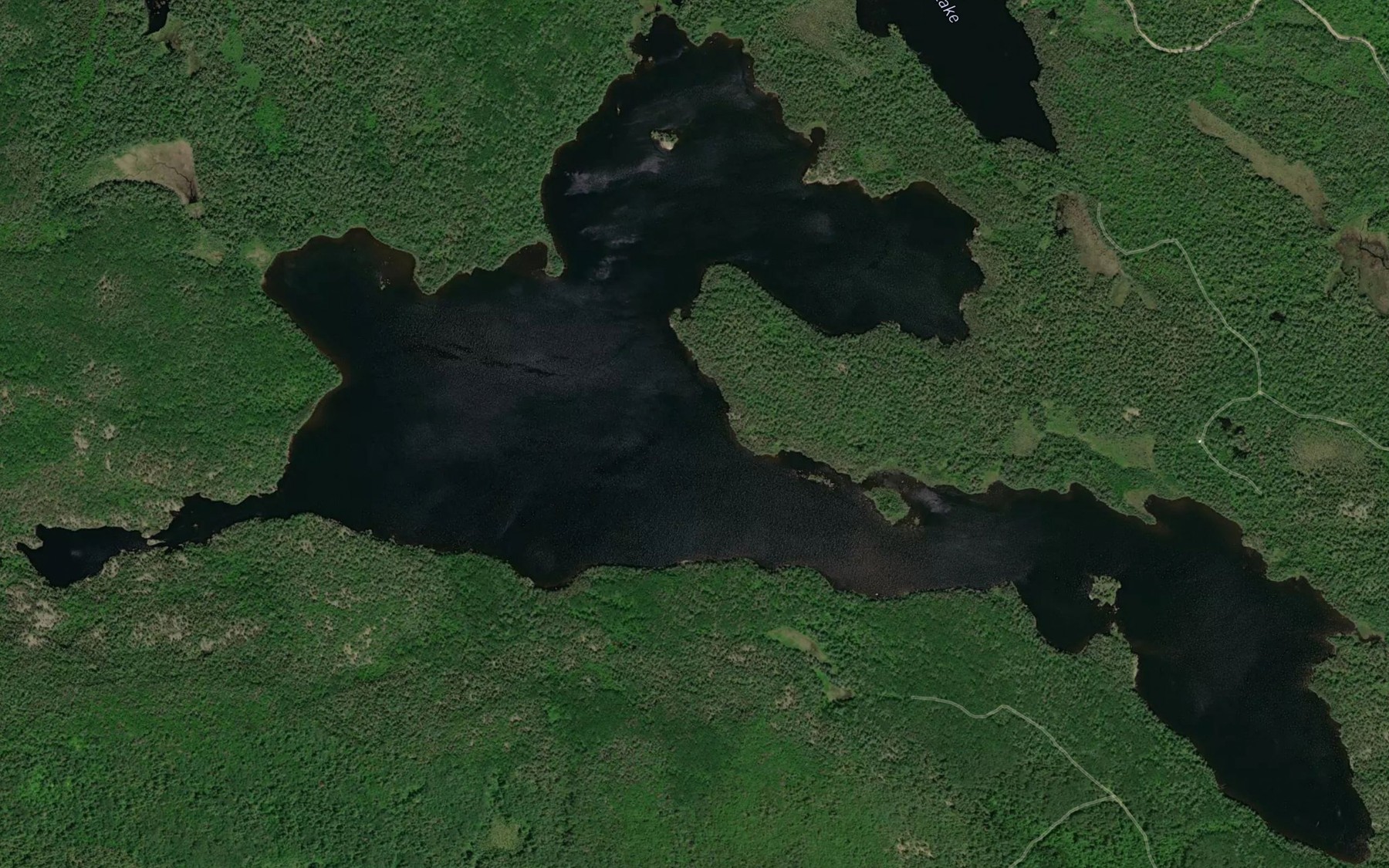 Satellite map of the Waterloo Lake