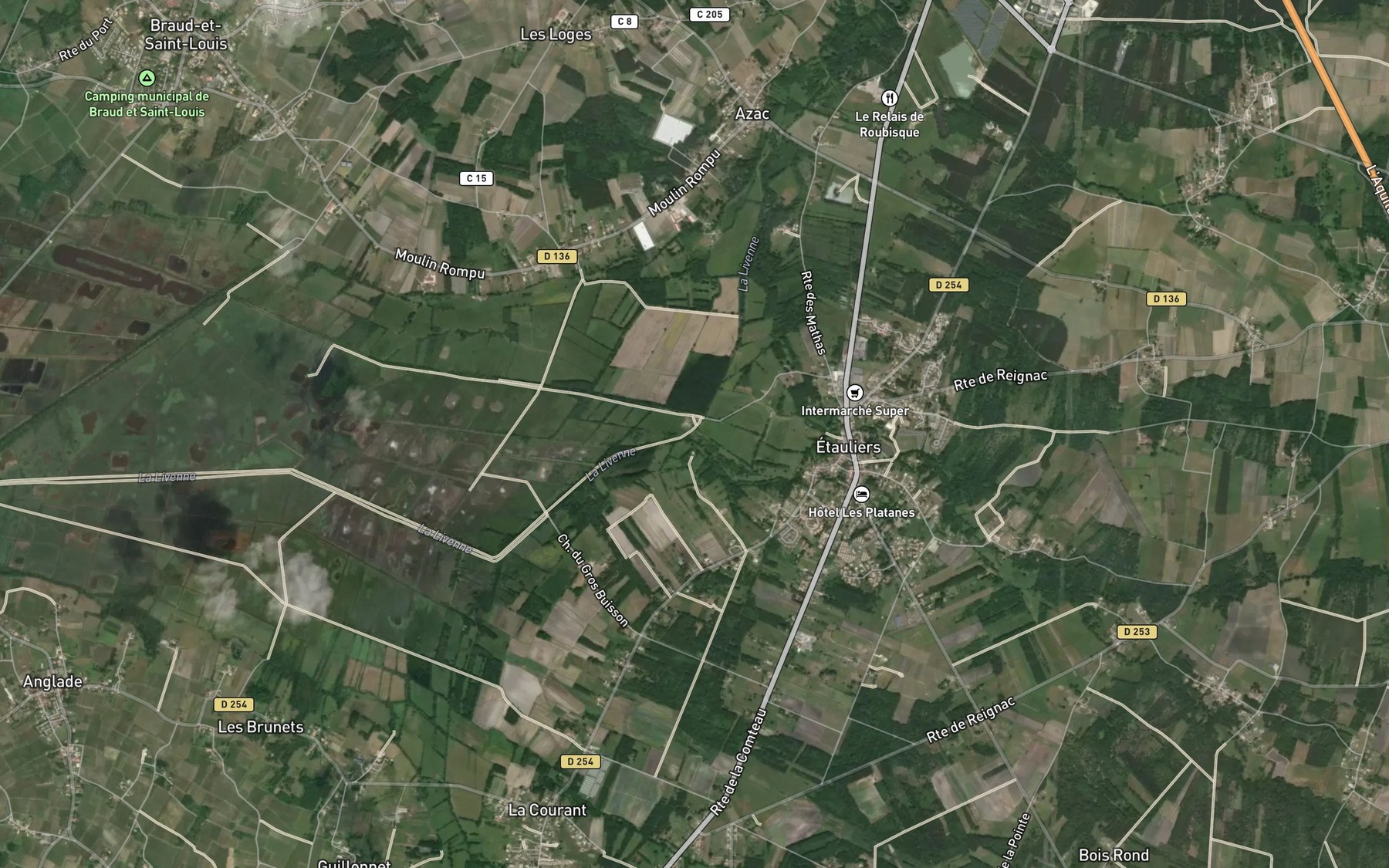 Satellite map of the Livenne
