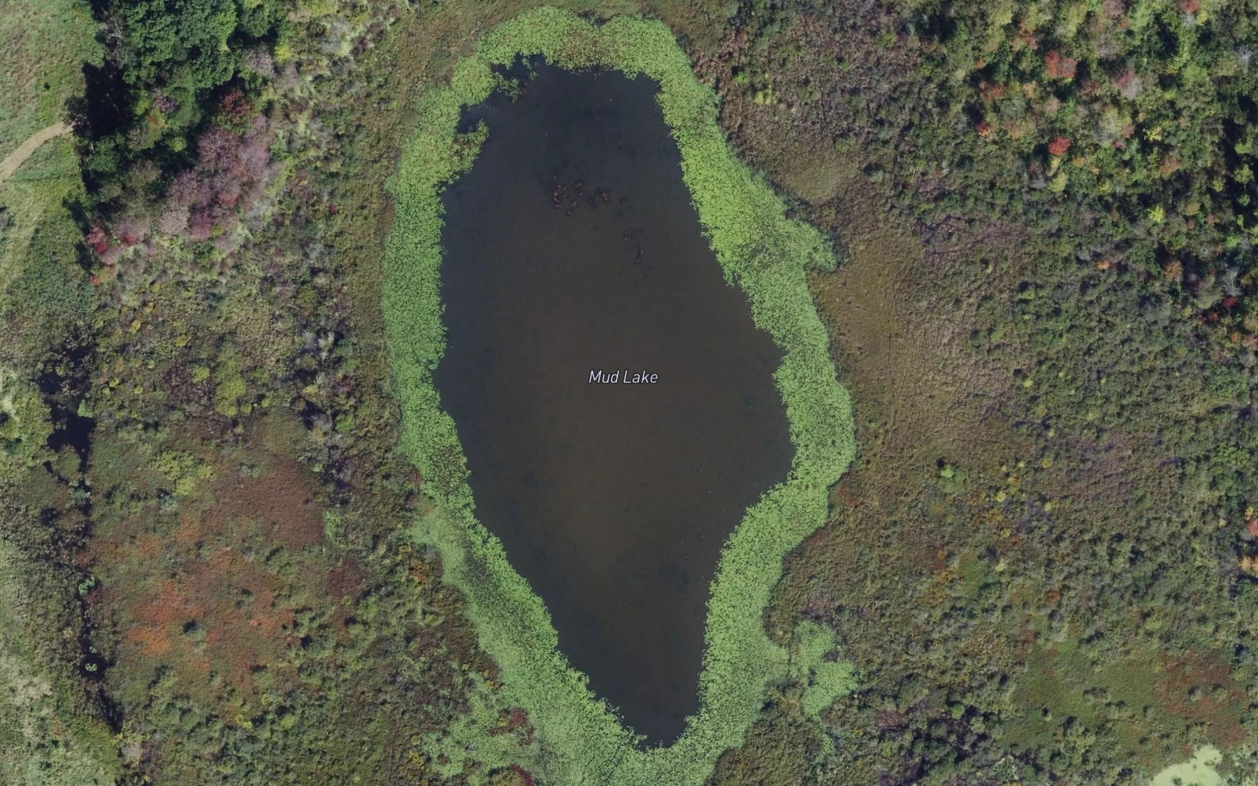 Satellite map of the Mud Lake