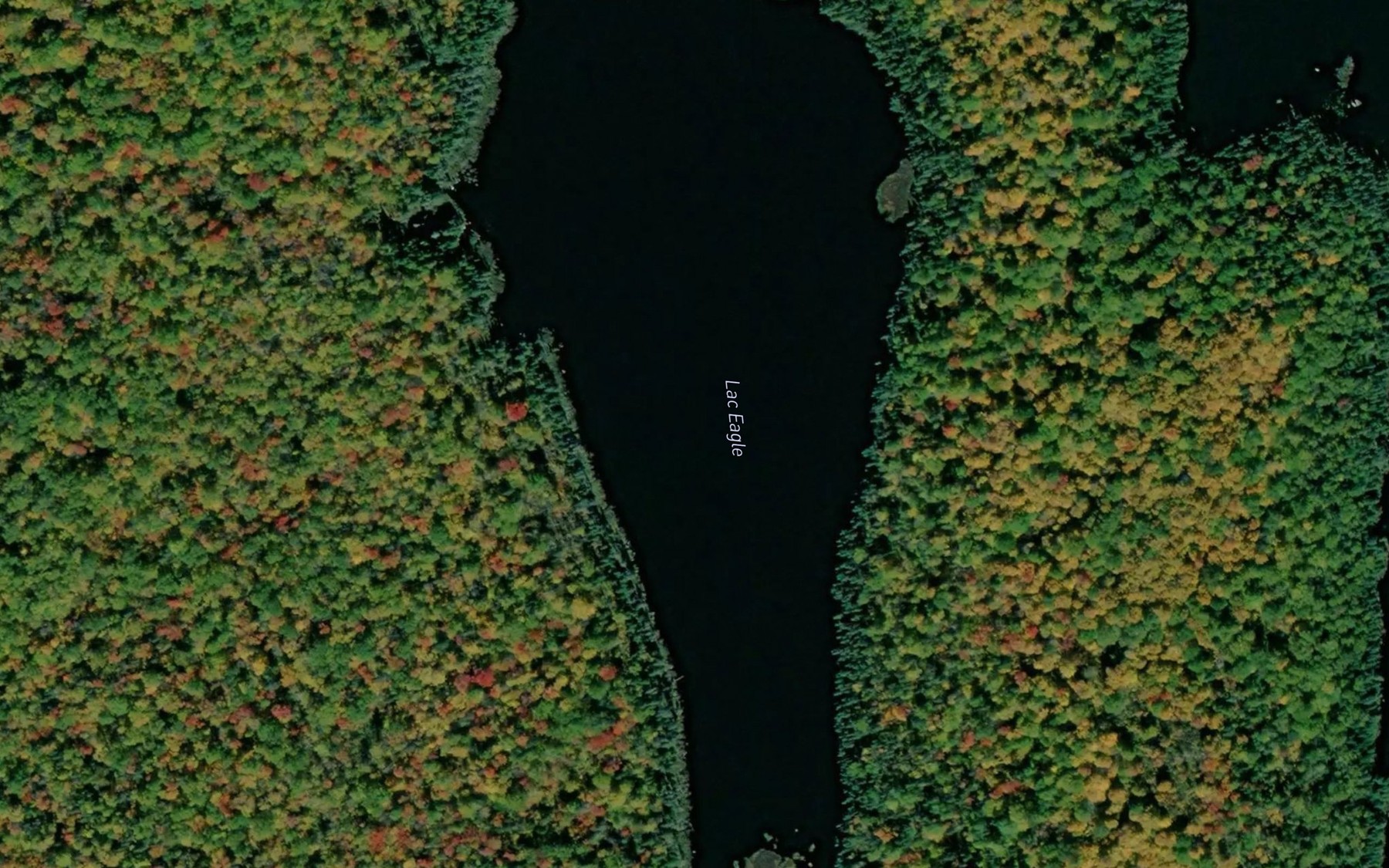 Satellite map of the Lac Eagle