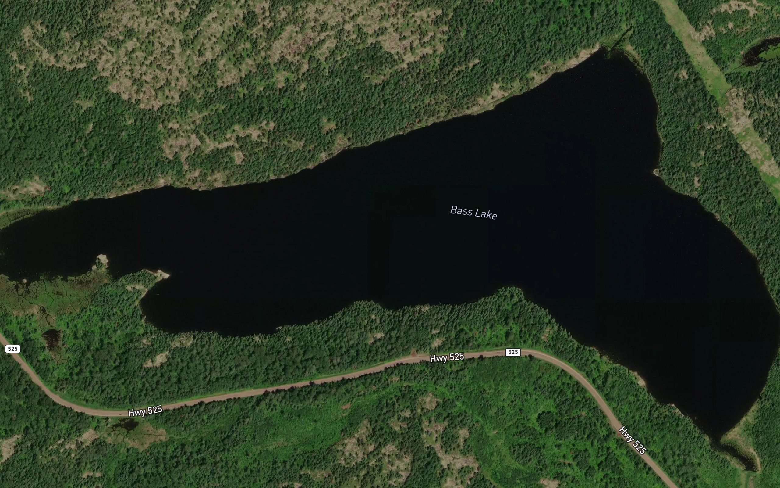 Bass Lake