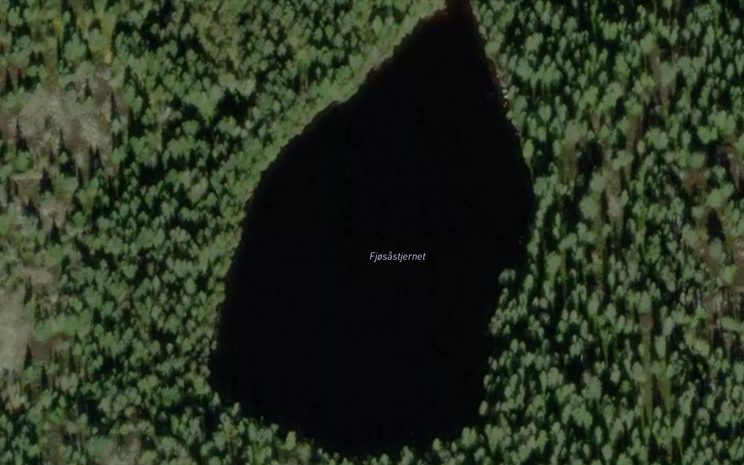 Fjosastjernet
