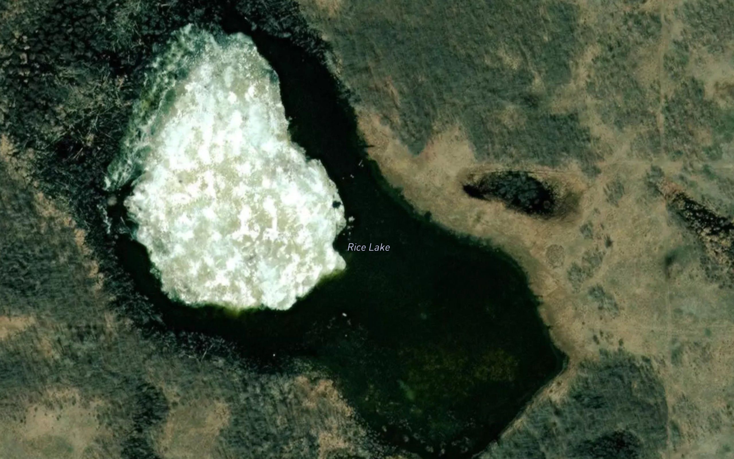 Rice Lake
