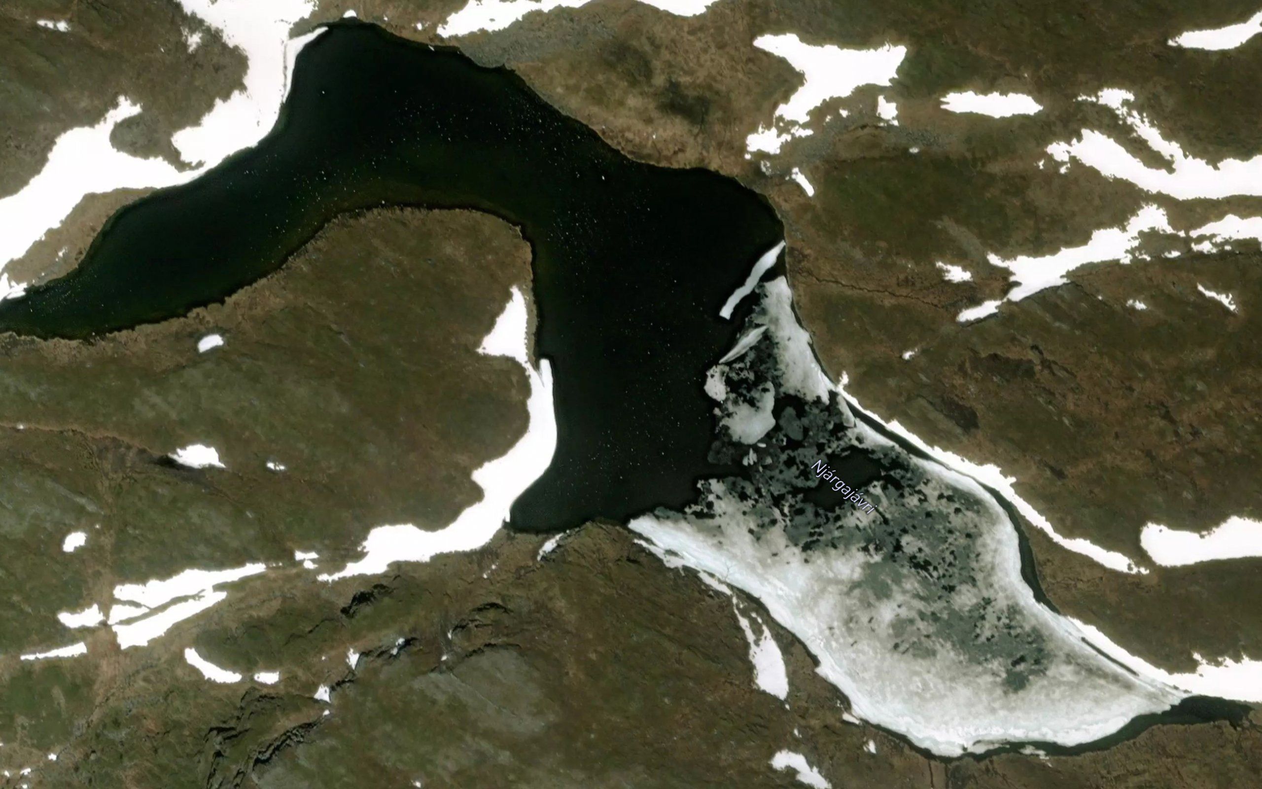Njargajavri