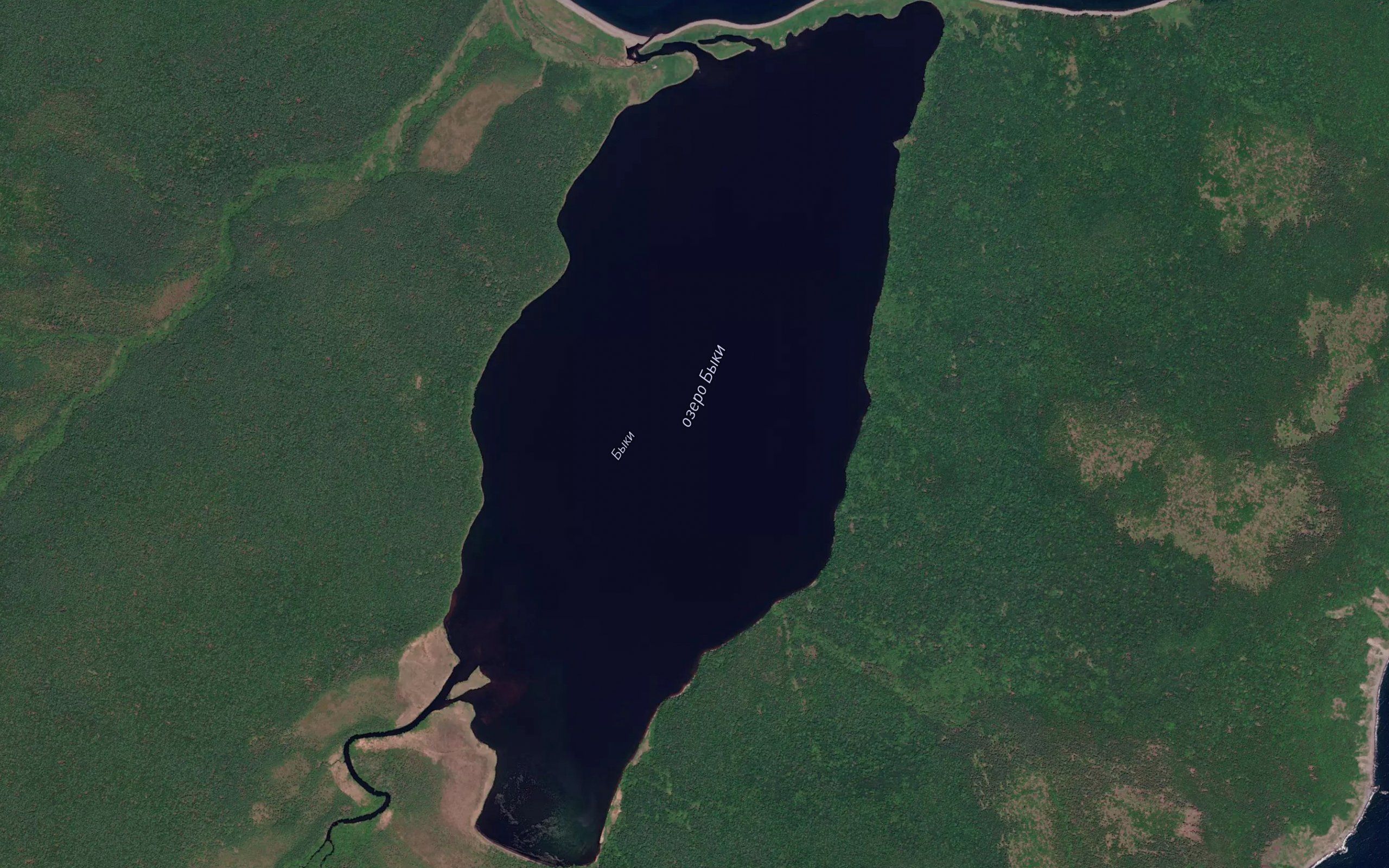 Ozero Byki