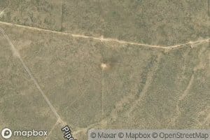 Nepesta Farmers Ditch