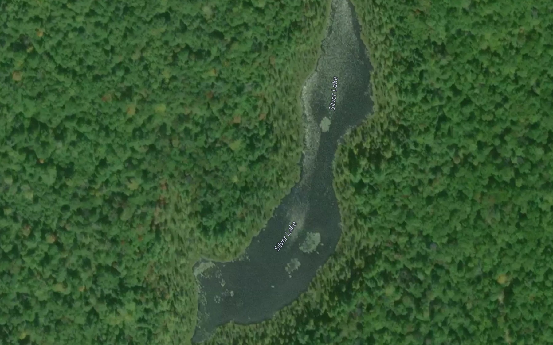 Satellite map of the Silver Lake
