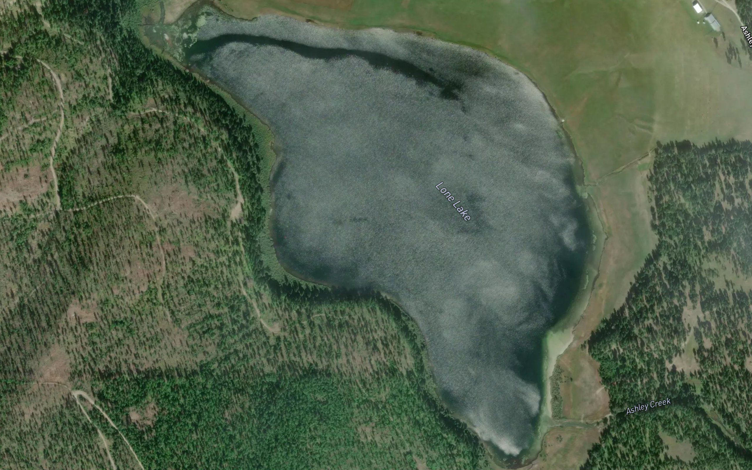 Lone Lake