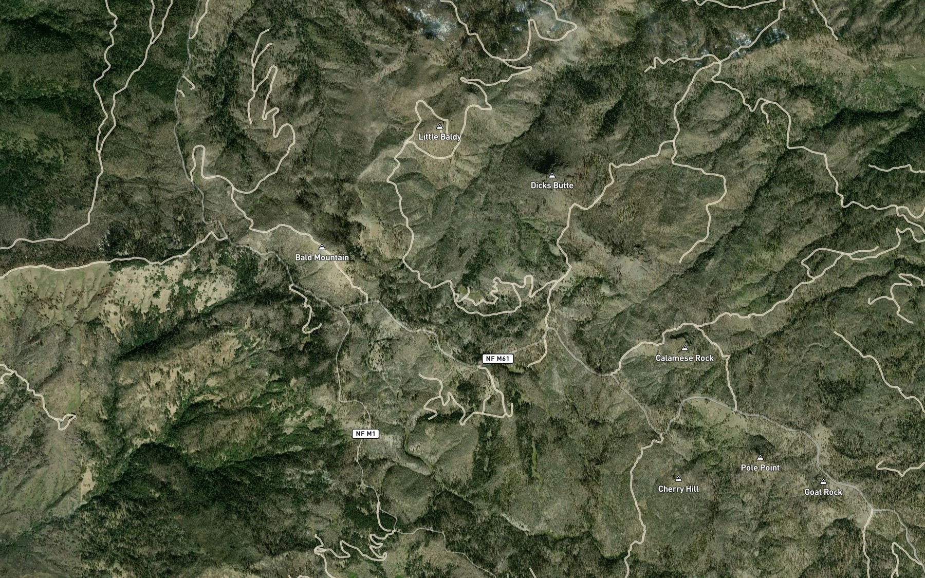 Satellite map of the Cushman Lake