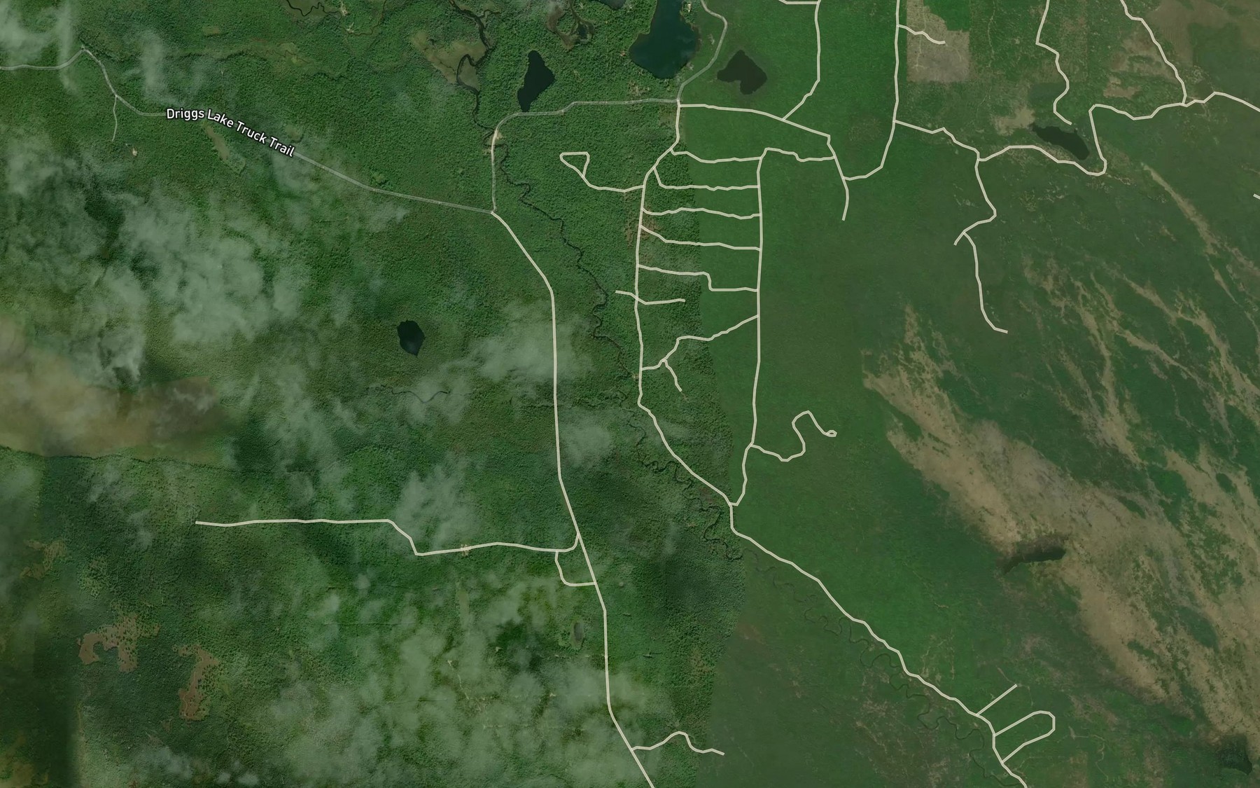 Satellite map of the Negro Creek
