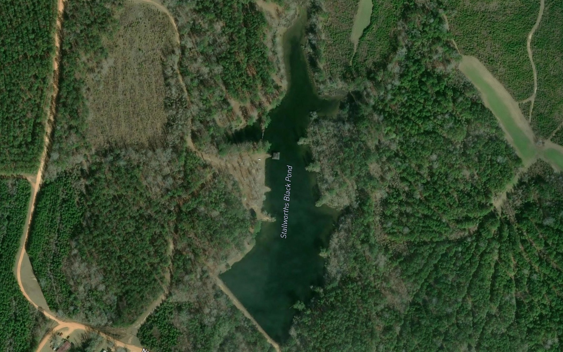 Satellite map of the Stallworths Black Pond