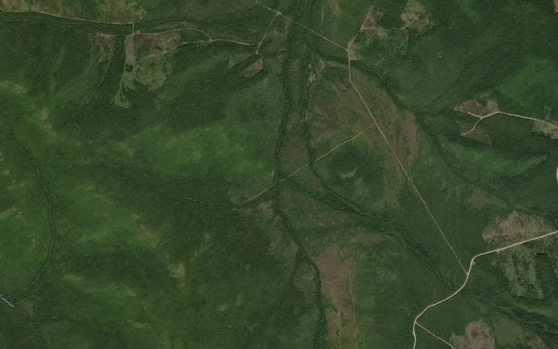 Satellite map of the Pravyy Dimitin
