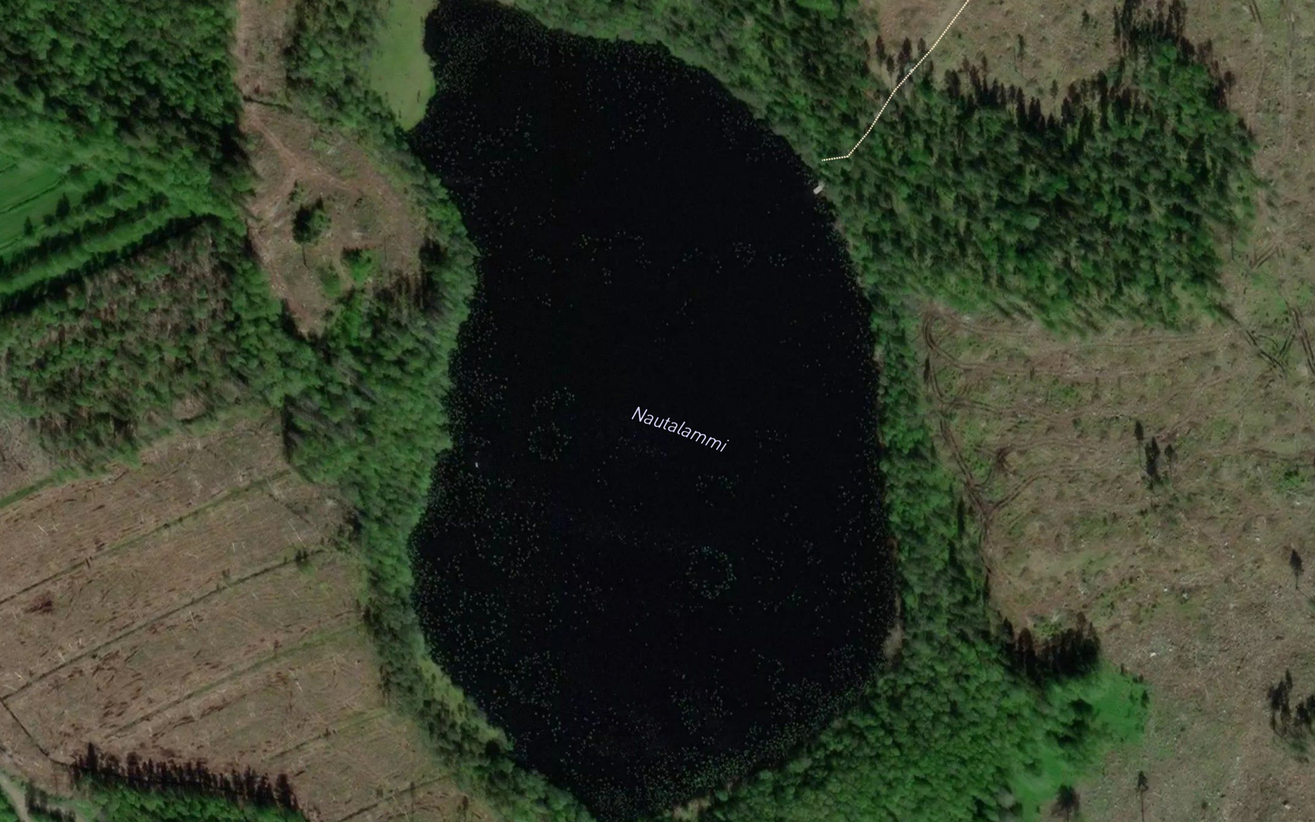 Nautalammi