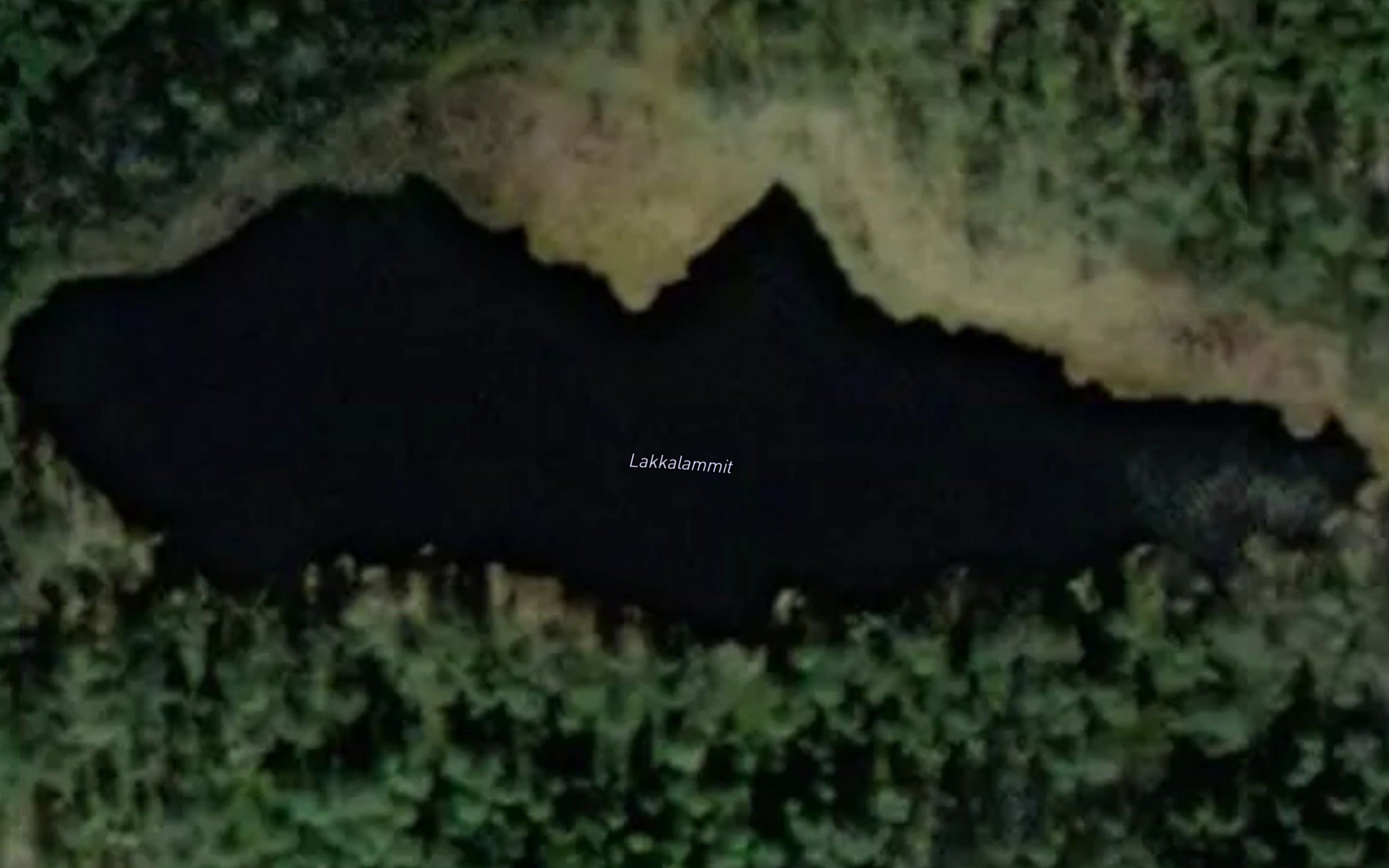 Lakkalammit