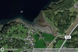 Ervikbukta