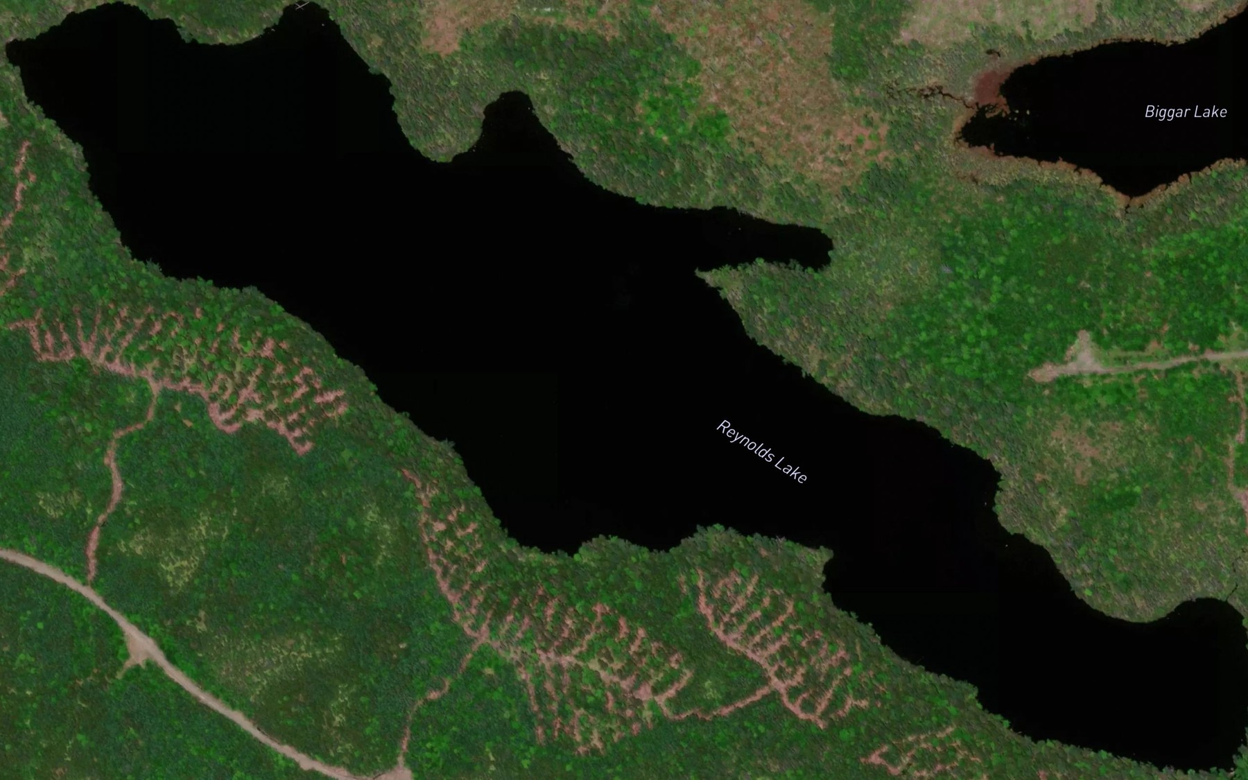 Satellite map of the Reynolds Lake