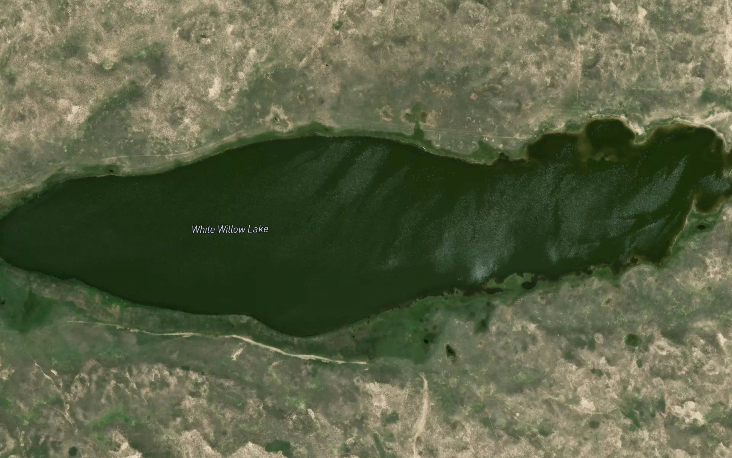 White Willow Lake