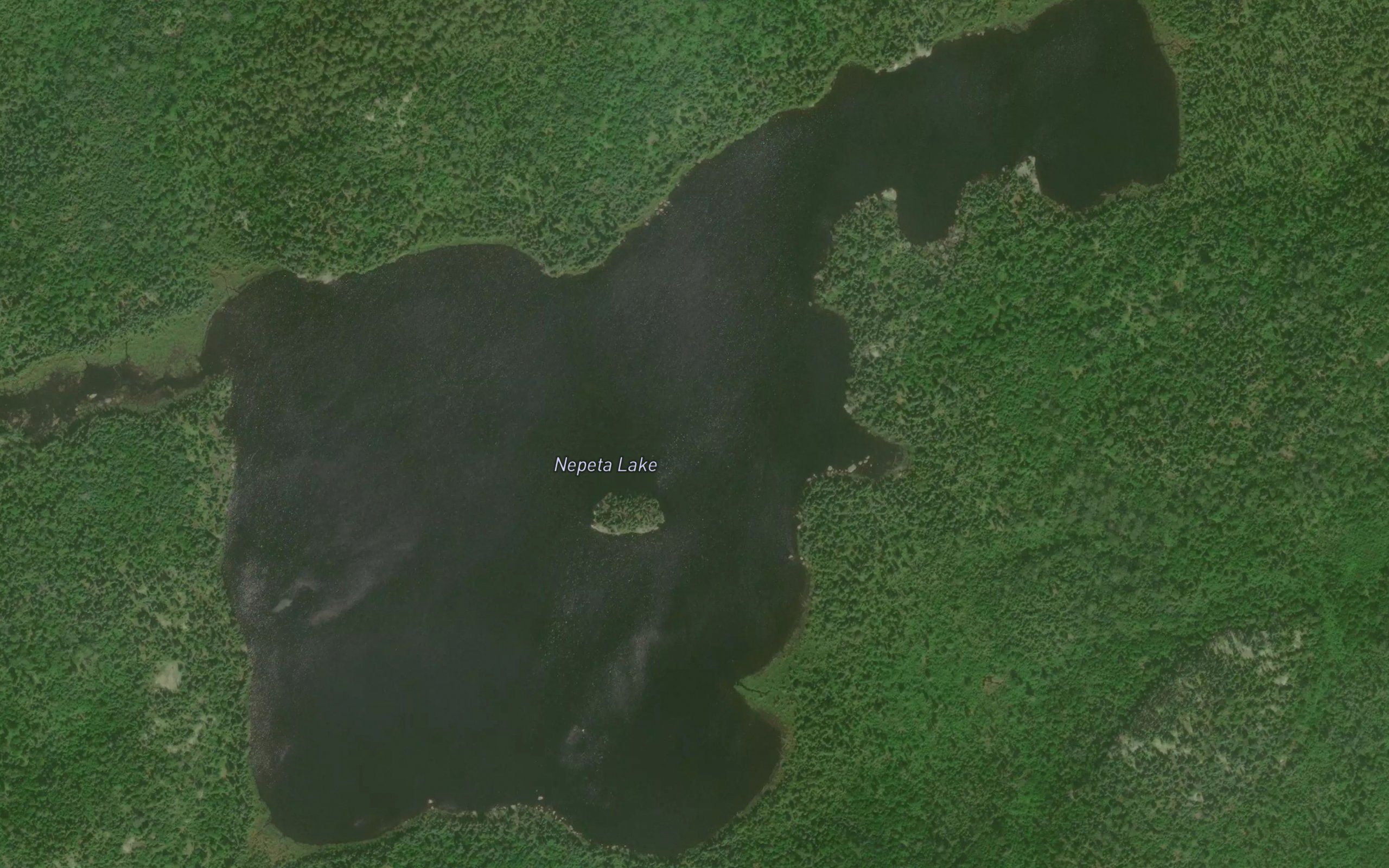 Nepeta Lake
