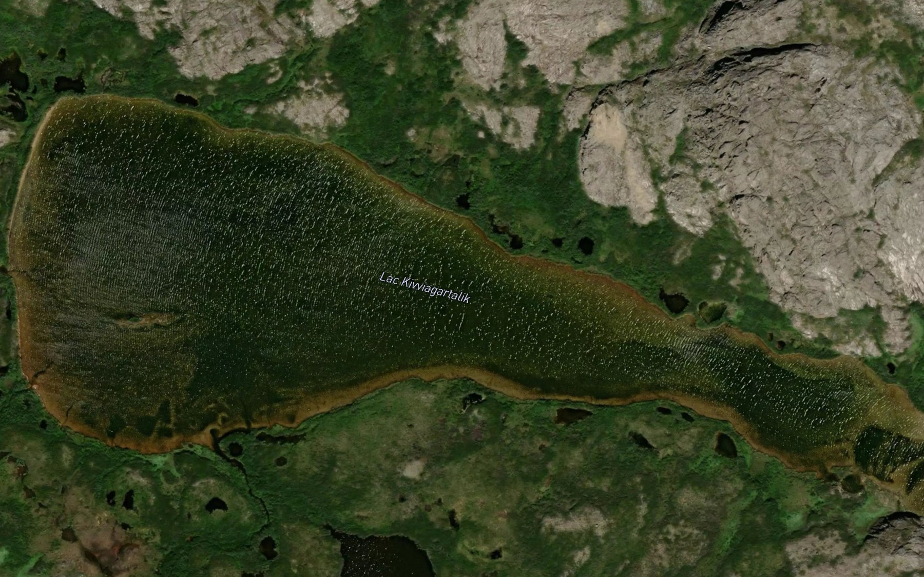 Satellite map of the Lac Kivviagartalik