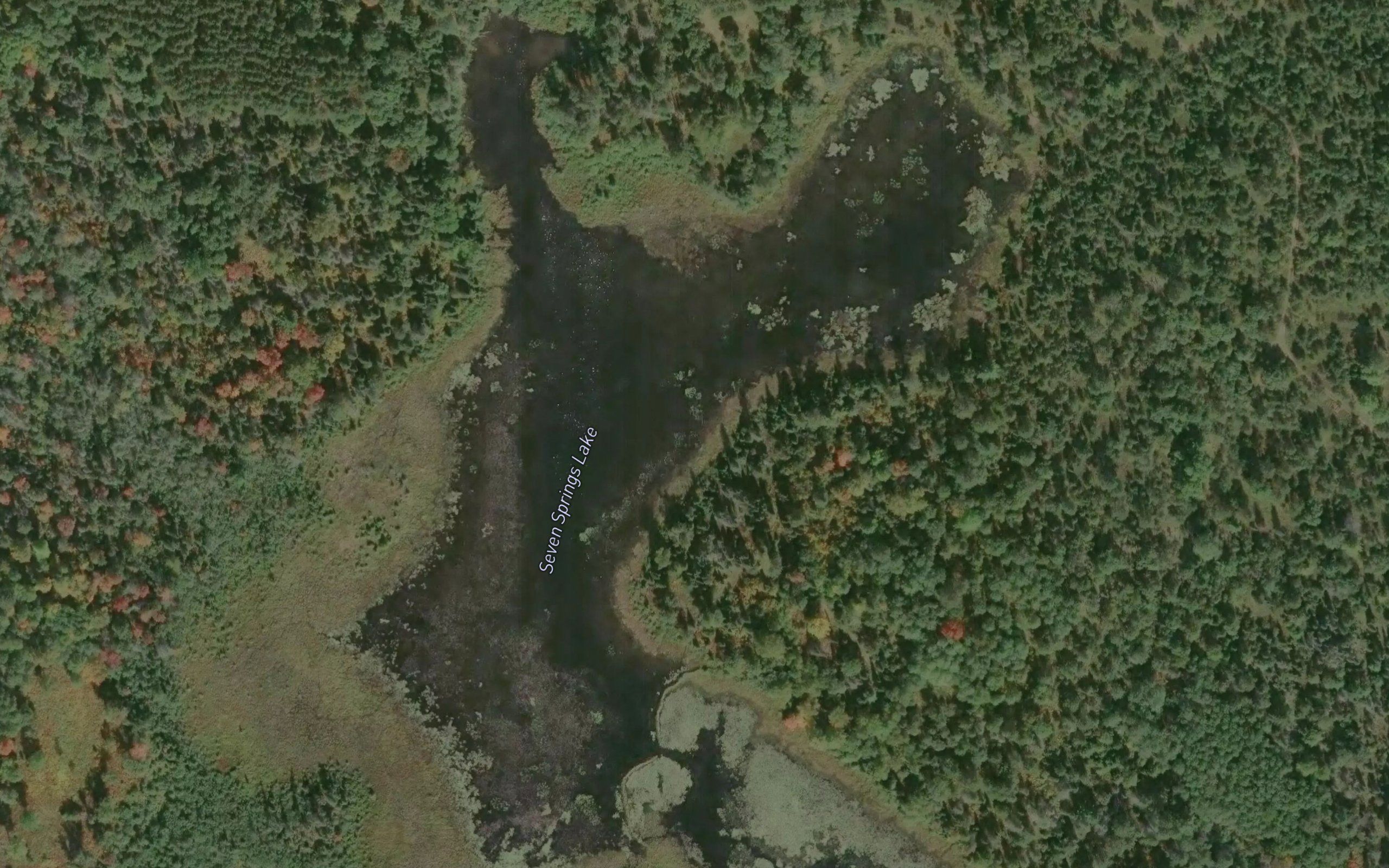 Seven Springs Lake