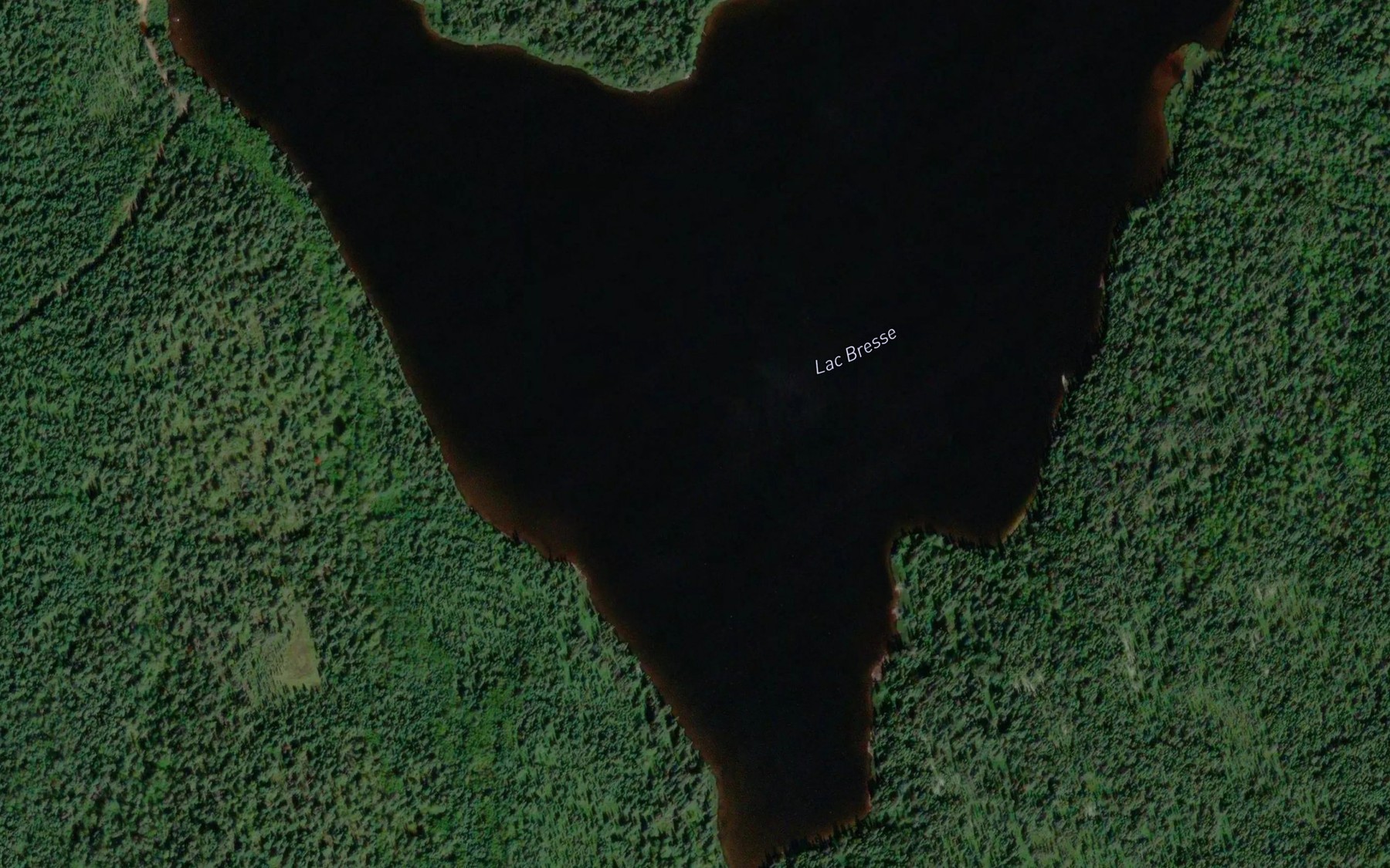 Satellite map of the Lac Bresse