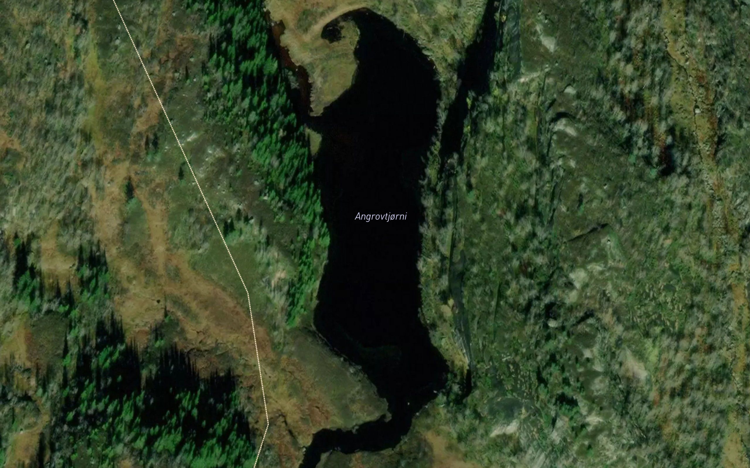 Angrovtjorni