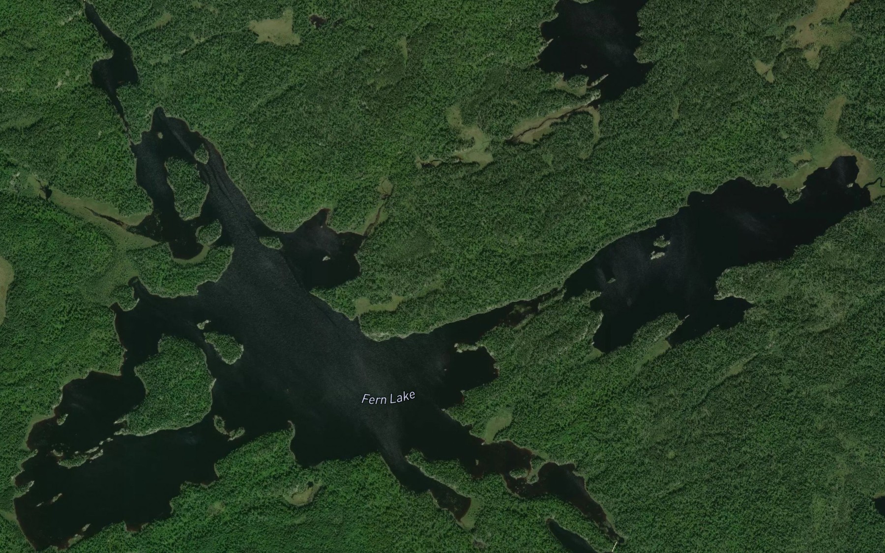Satellite map of the Baptism Lake