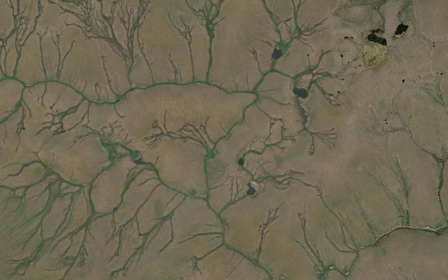 Satellite map of the Monte Carlo Creek