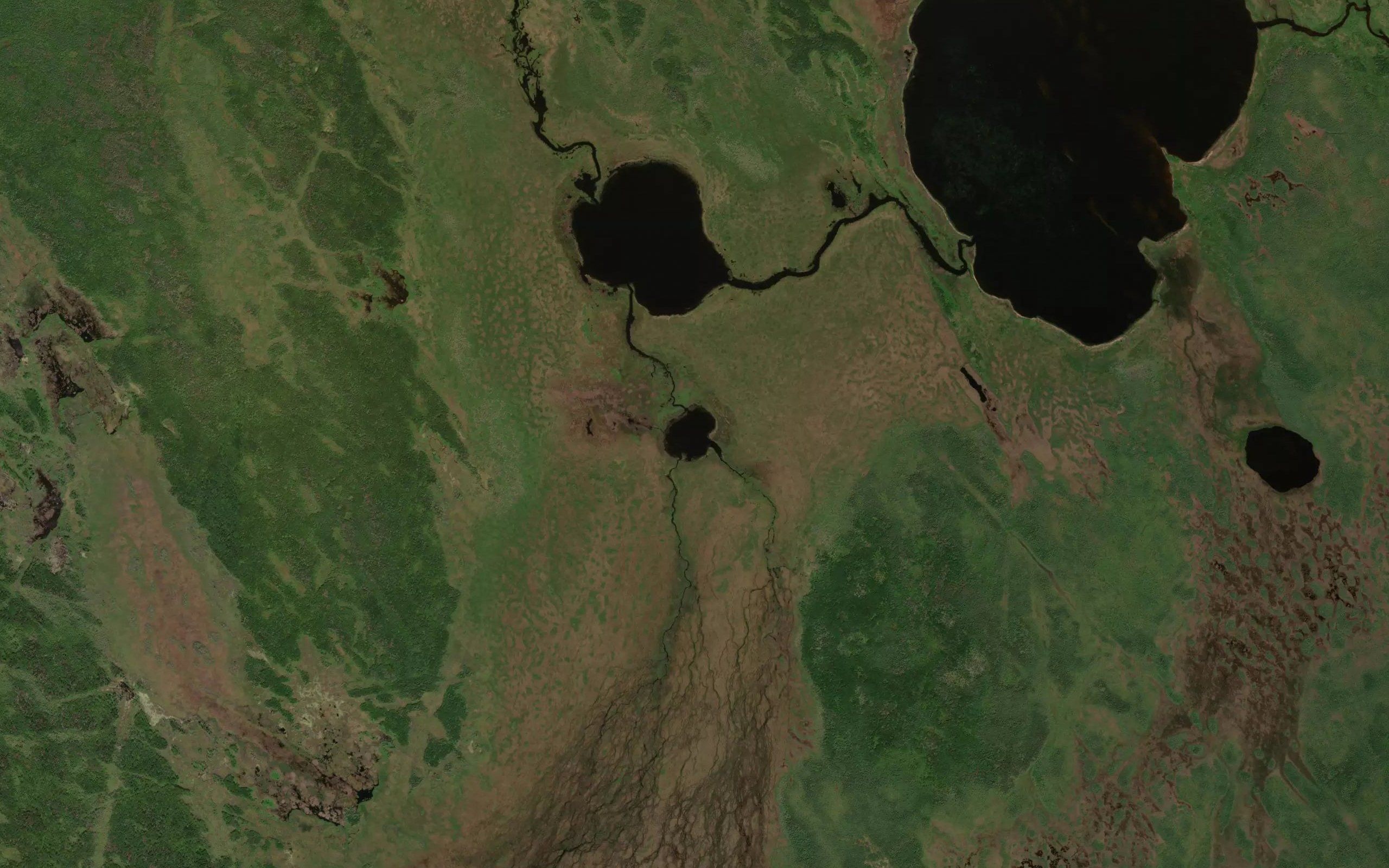 Tiny Pine Lake