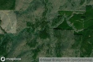 Peggy Mountain Branch