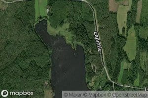Havujoki