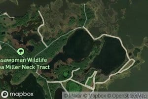 Sixty Five Acre Pond