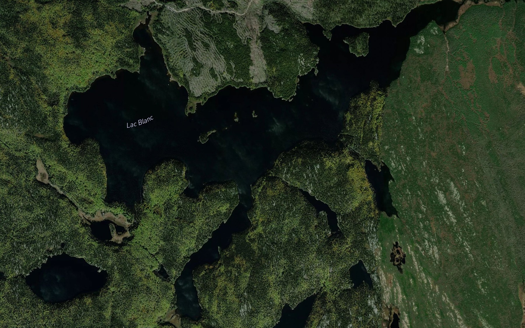 Satellite map of the Lac Blanc