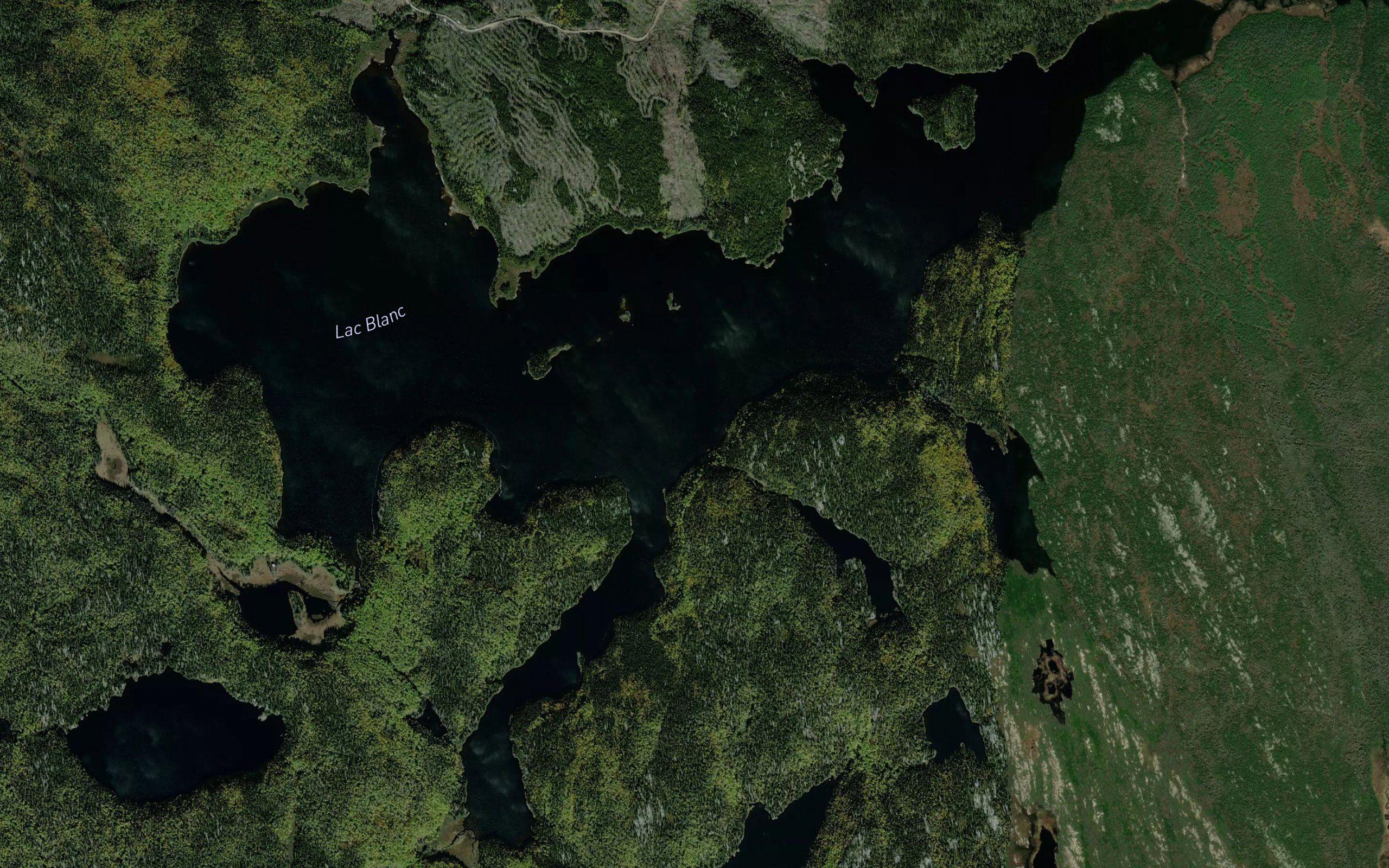 Lac Blanc