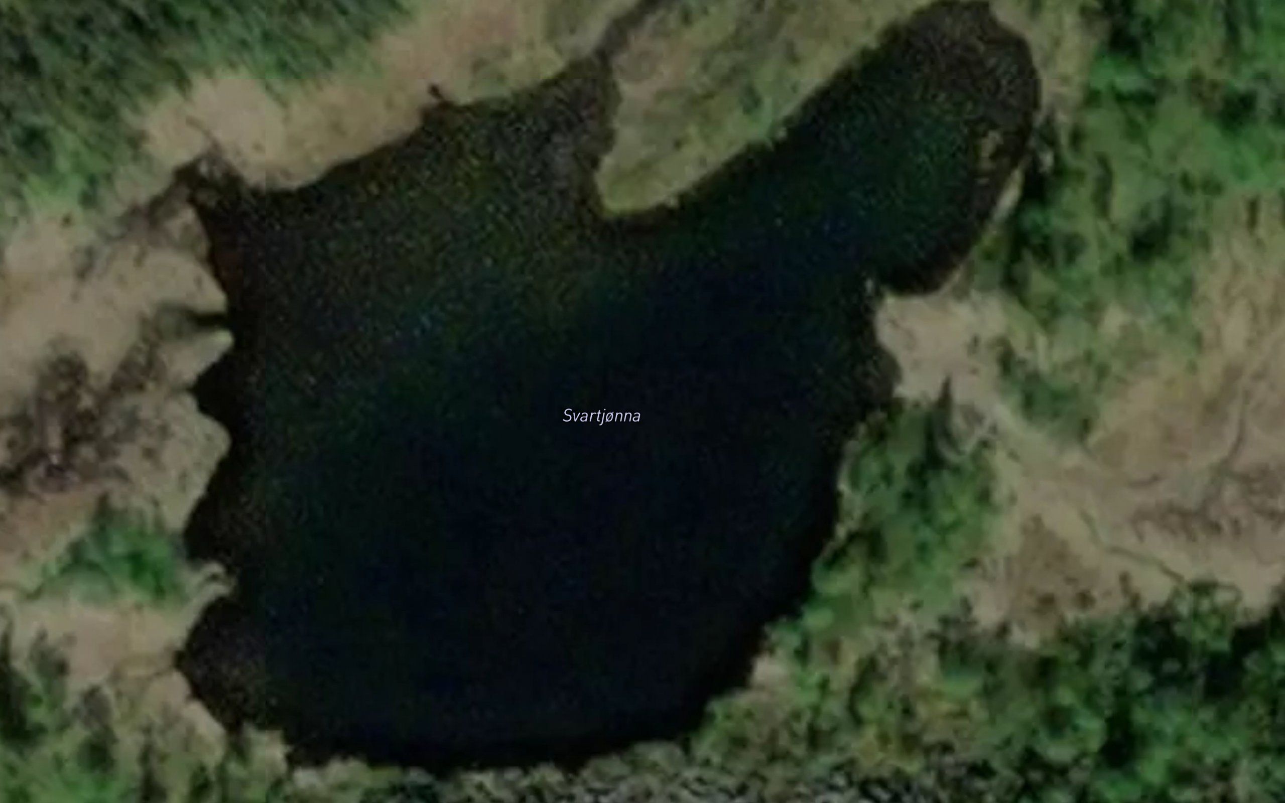 Svarttjorna